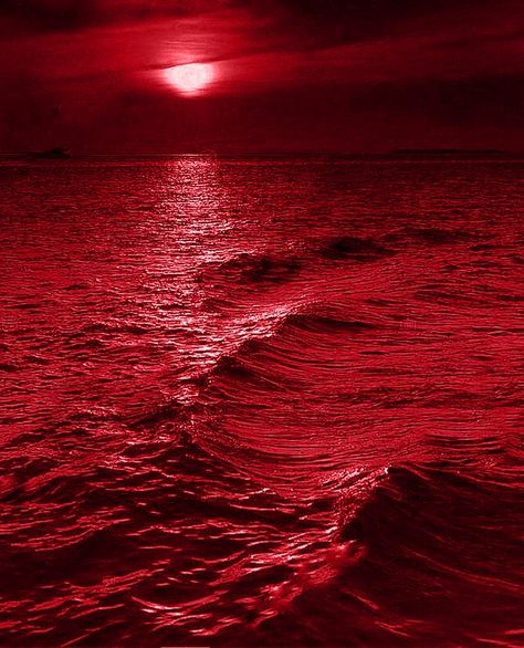 Essex Aesthetic, Potential Wallpaper, Red And Black Wallpaper, Red Icons, Fire Orange, Dark Red Wallpaper, Water Aesthetic, Red Rain, Red Water