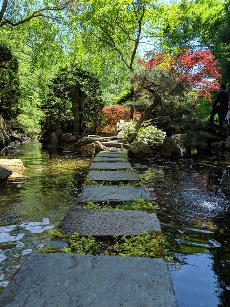 Rock Creek Park Washington Dc, Japanese Estate, Alevel Photography, Dc Lifestyle, Japanese Park, Dc Trip, Spring Park, Miles To Go, Park Landscape