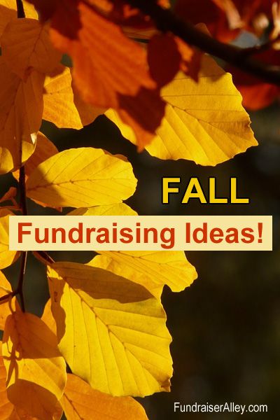 November Fundraising Ideas, Halloween Fundraising Ideas, Fall Fundraising Ideas, Fall Themed Fundraiser, Fall Festival Fundraiser Ideas, Fall School Fundraiser Ideas, October Fundraising Ideas, November Fundraiser Ideas, Food Fundraising Ideas