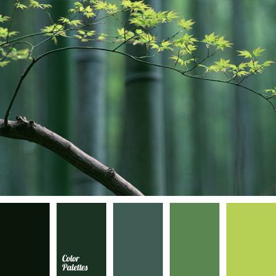 Color Palette #696 Flat Bedroom, Color Palette Ideas, Room Green, Green Bamboo, Palette Ideas, Warm Palette, Green Palette, Nature Color Palette, Forest Green Color