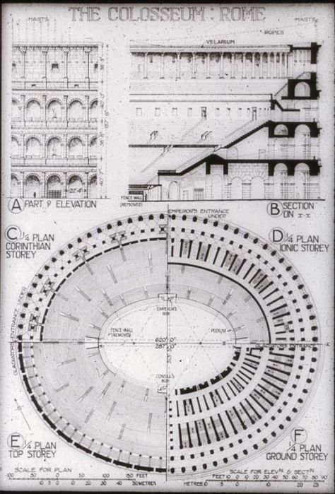 Colosseum, Rome, Italy Plan/Section Colosseum Plan, Rome Architecture, Architecture Blueprints, Colosseum Rome, Plans Architecture, Architecture History, Roman Architecture, Classic Architecture, Classical Architecture