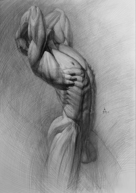 남성 근육, Male Body Art, Human Sketch, Academic Drawing, Human Anatomy Drawing, Body Sketches, Human Anatomy Art, Anatomy Sketches, Art Of Man