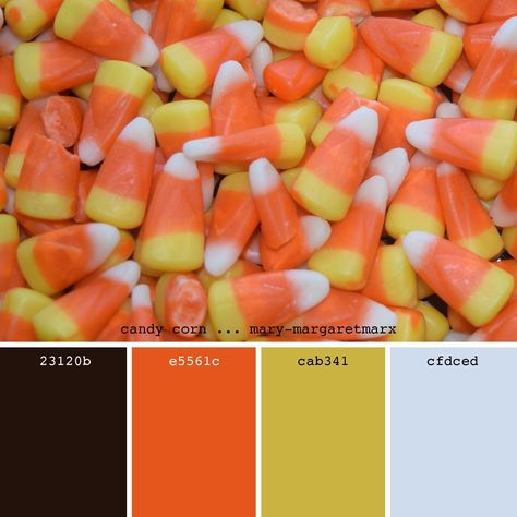 It’s Halloween week and we are loving all the spooky and festive colors that come along with this time of year!  We will be featuring color palettes this week that are inspired by all things Halloween.  Today’s inspiration comes from Candy Corn! Whether you love or hate it, there is no denying that the colors are a true representation of fall!    What are some of your favorite fall treats? Procreate Pallets, Halloween Color Palette, Pallet Halloween, Wardrobe Colour, Halloween Week, Halloween Color, Autumn Orange, Orange Candy, Color Schemes Colour Palettes