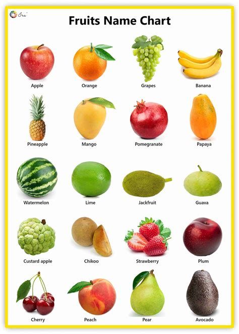 Fruits And Vegetables: List, English Names And Pictures English Facts, Name Of Vegetables, Fruits And Vegetables List, Fruits Name In English, Fruits Name, Vegetable Chart, Vegetable Pictures, Fruit Names, List Of Vegetables