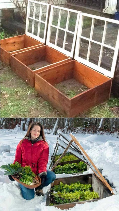 Outstanding ”greenhouse plans” info is readily available on our internet site. Take a look and you will not be sorry you did. Serre Diy, Diy Greenhouses, Greenhouse Plans, Diy Greenhouse, Cold Frame, Greenhouse Gardening, Vegetable Garden Design, Garden Boxes, Best Diy