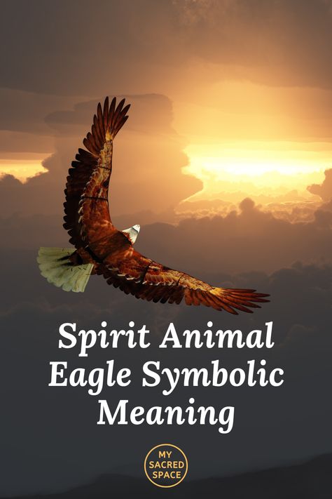 Drawing Of Eagle, Spirit Animal Eagle, Eagle Spirit Animal, Native American Houses, Find Your Spirit Animal, Eagle Totem, Spirit Animal Meaning, Lightning Storms, Totem Animals