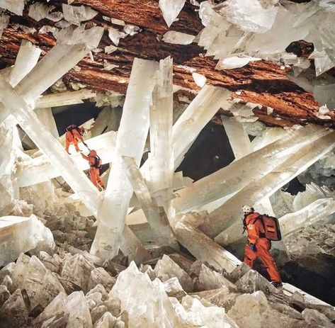 Giant Crystal, Bruce Lipton, Selenite Crystals, Explore Mexico, Chihuahua Mexico, Ancient Technology, Crystal Cave, Visit Mexico, Selenite Crystal