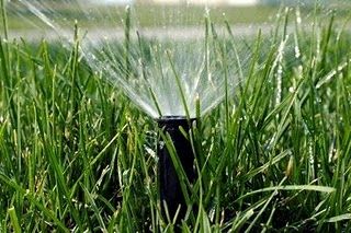 How To Repair Lawn Irrigation Pipe Watering Lawn, Sprinkler Repair, Seeding Lawn, Lawn Irrigation, Weeds In Lawn, Garden Sprinklers, Lawn Sprinklers, Green Lawn, Overland Park