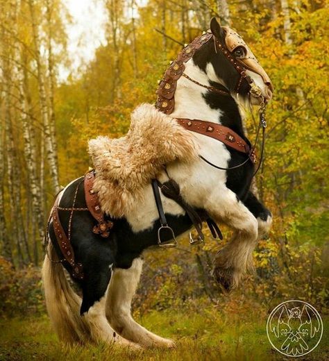 Elfajzott vidék Medieval Horse, Horse Rearing, Horse Costumes, Horse Armor, Fantasy Horses, Horse Gear, Fur Blanket, Pretty Animals, Draft Horses