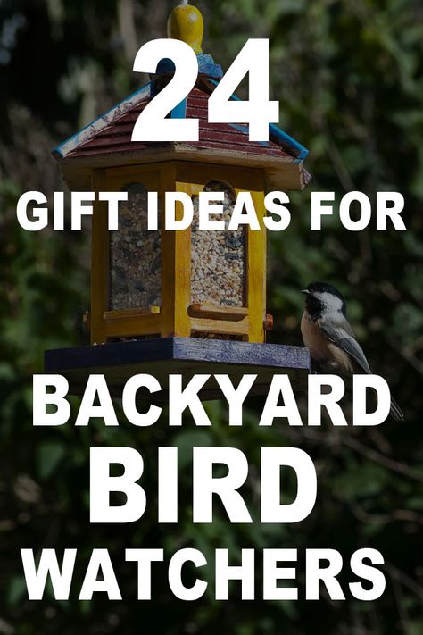 Repurposed Bird Feeders, Bird Feeder Gift Basket Ideas, Bird Lovers Gift Ideas, Bird Feeder Gift, Bird Lover Gifts, Bird Feeder Station, Bird Feeder Stands, Unique Bird Feeders, Bird Feeder Plans