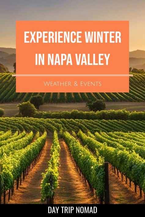 Discover the best time to visit Napa Valley and soak in the beauty of each season. Whether you prefer blooming vineyards in spring, sunny days in summer, vibrant foliage in fall, or cozy winter escapes, Napa Valley has something special to offer year-round. Explore all that Napa Valley has to offer in January, February, March, April, May, June, July, August, September October November or December. Plan your trip wisely for an unforgettable experience! Napa Valley In February, Napa Valley Trip, Vineyard Tour, Lassen Volcanic National Park, Scenic Road Trip, Wine Country California, Roadside Attractions, Road Trip Planning, April May