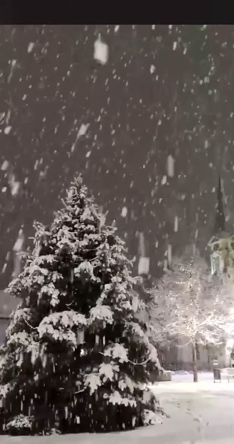 Heavy Snowfall, Heidelberg Germany, Winter Is Here, Video Credits, Severe Weather, Beautiful Nature Scenes, Nature Scenes, Last Night, Beautiful Nature