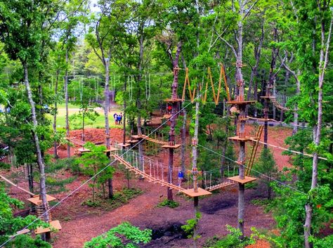 Looking for a fun, treetop trail with stunning views? Then head over to the Adventure Park at Storrs for an unforgettable trail! Adventure Places, Connecticut Travel, Ropes Course, Adventure Park, Tree Tops, In The Woods, Tree House, Connecticut, Day Trips