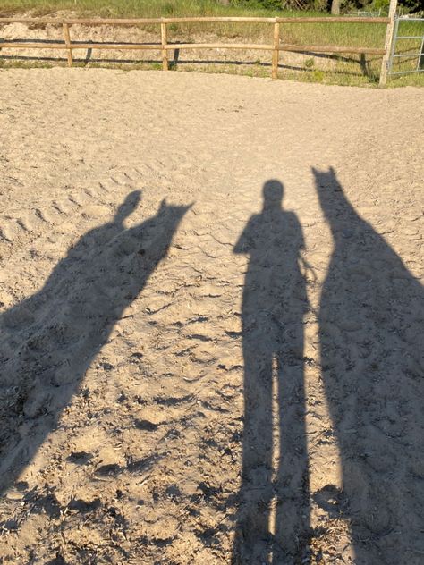 #horses #shadows Shadow Pictures, The Shadow, A Horse, Horses