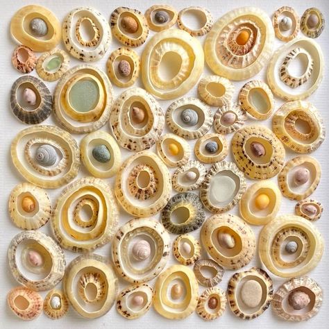 A celebration of limpet rings, with various shell, pebble and glass fillings. This piece combines finds from Tiree and Kintyre, a necessary… | Instagram Think Bigger, Seashell Display, Seashell Art Diy, Coquille St Jacques, Shell Sculpture, The Way I Am, Art Coquillage, Seaside Art, Messy Art