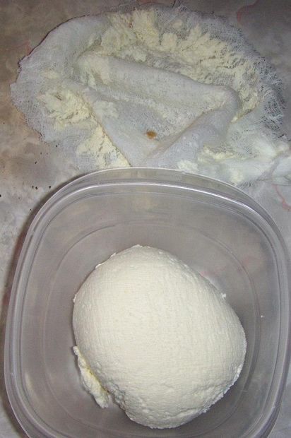 Goat Milk Cheese, Home Made Cheese, How To Make Home, Sheep Milk, Goat Milk Recipes, Diy Cheese, Sheep Cheese, Farm Fresh Milk, Goat Cheese Recipes