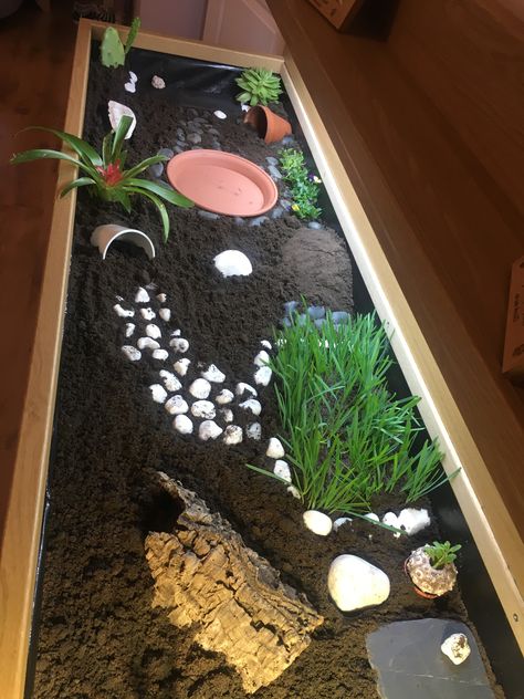 Tortoise Garden, Turtle Enclosure, Red Footed Tortoise, Turtle Homes, Tortoise House, Tortoise Table, Tortoise Enclosure, Baby Tortoise, Tortoise Habitat