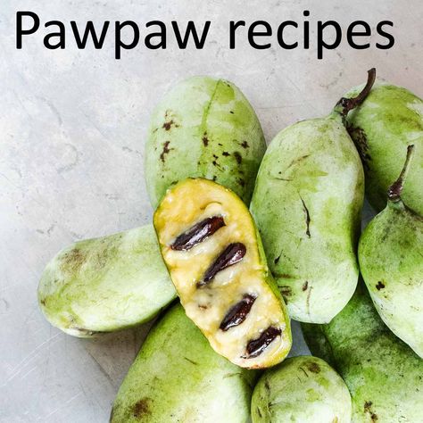 35 Pawpaw recipes to celebrate the fruit Paw Paw Fruit Recipes, Paw Paw Recipes, Pawpaw Recipes, Pawpaw Fruit, Paw Paw Fruit, Coconut Crust, Walnut Crust, Tropical Desserts, Foraging Recipes