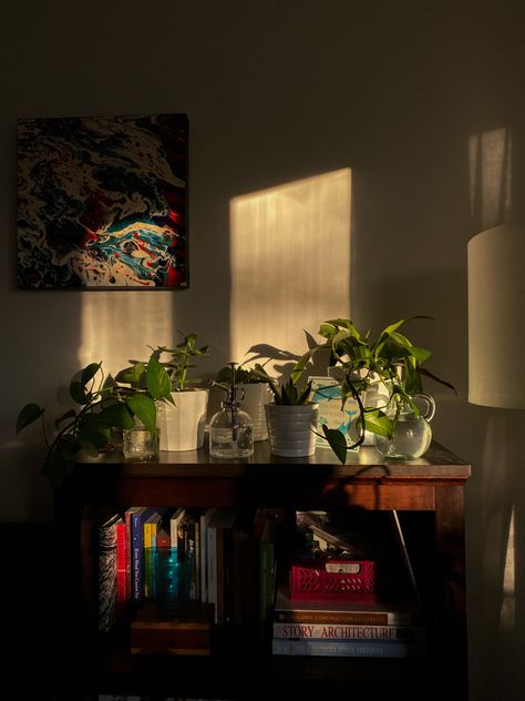 #sunlight #plants #books #library #aesthetic Books Library Aesthetic, Sunlight Plants, Plants And Books, Books And Plants, Library Pictures, Books Library, Library Aesthetic, Plant Book, Future Apartment Decor