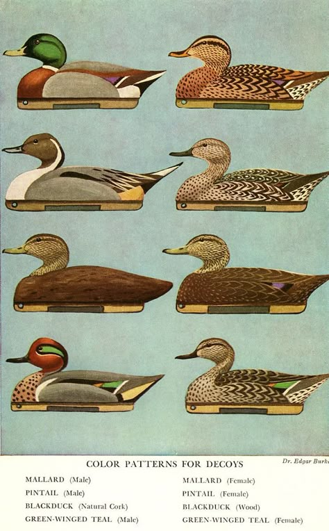 Decoy Carving, Duck Season, Duck Drawing, Waterfowl Hunting, Duck Calls, Duck Duck Goose, Duck Art, Bird Carving, Duck Decoys