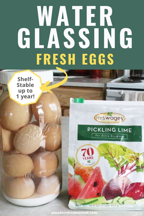 Glassing Eggs, Preserving Eggs, Landscaping Decor, Storing Eggs, Apple Butter Crock Pot, Home Canning Recipes, Canning Food Preservation, Canned Food Storage, Pickled Eggs