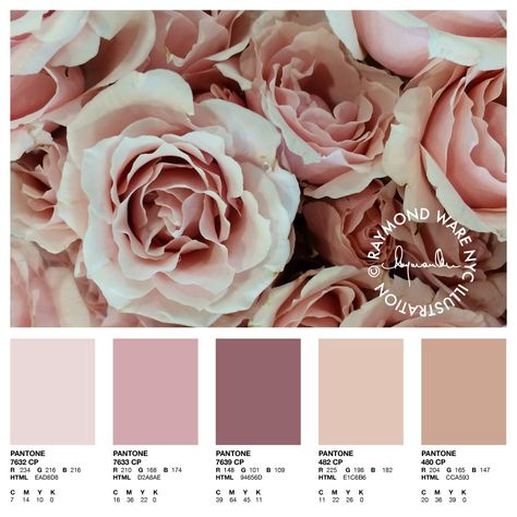 Edm Marketing, Pemberton Wedding, Blush Colour Palette, Blush Champagne Wedding, Rose Gold Color Palette, Applying Blush, Nude Color Palette, Rose Palette, Blush Color Palette