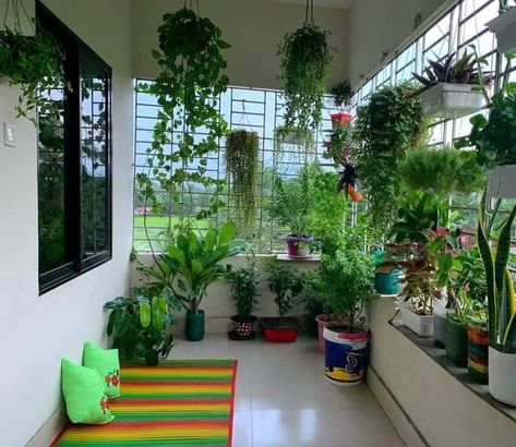 Money Plant Decor, Planter Decoration, Indoor Oasis, Indian Garden, Indian Room Decor, Easy Room Decor, House Interior Design Styles, Housewarming Decorations, Terrace Decor