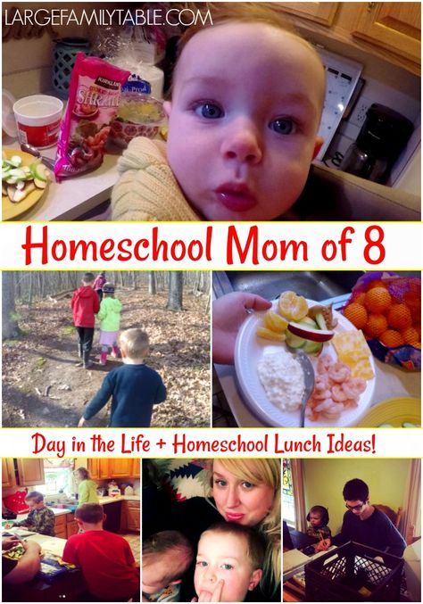 Homeschool Lunch Ideas | Homeschool Mom Day in the Life (8 Kids) - Large Family Table Homeschool Lunch Ideas, Homeschool Lunch, Large Family Table, Math U See, Rod And Staff, Free Homeschool Curriculum, Motherhood Encouragement, Homeschool Board, Math Blocks