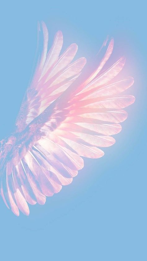 Angels Wings Wallpaper, Angel Wings Wallpaper, Angel Wings Aesthetic, Pastel Cafe, Aesthetic Angel, Wings Wallpaper, Angel Wallpaper, Angel Aesthetic, Jolie Photo