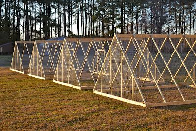 Turkey Pen, Chicken Pens, Chicken Shed, Meat Birds, Chicken Pen, Chicken Nesting Boxes, Chicken Tractors, Diy Chicken Coop Plans, Chicken Tractor