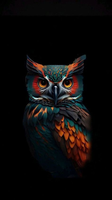 Owl Wallpaper Iphone, Owl Tattoo Drawings, Cute Owls Wallpaper, Owl Photography, Images Of Animals, Owl Artwork, Amoled Wallpapers, Art Prints Boho, Owl Wallpaper