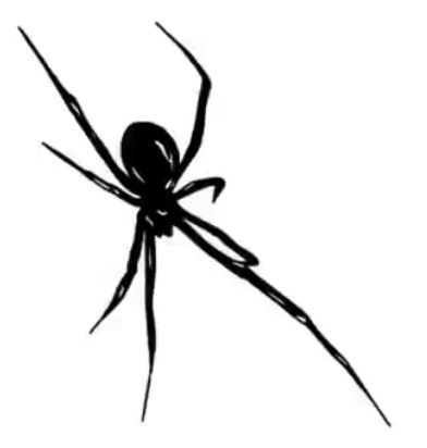 Spider Png Aesthetic, Spider Pfp Y2k, Spider Profile Picture, Spider Widget, White Pfp Y2k, Black And White Profile Picture, Spider Pfp, Spider Black And White, Black N White Pfp