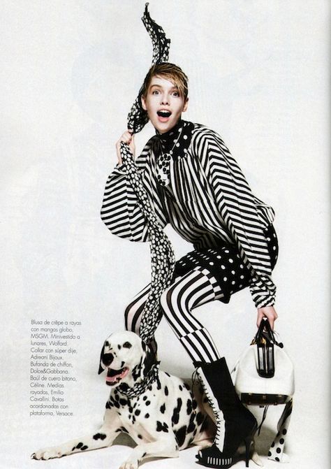 Black And White Tights, Animal Photoshoot, Stella Maxwell, Dog Fashion, White Tights, Black And White Dog, Fashion Cover, Model Inspo, Dog Modeling