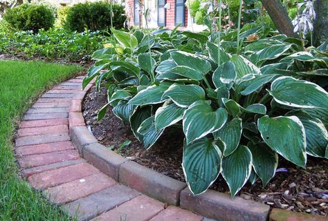 mowing strip | ... edging helps hold back mulch and creates a strip for easy mowing Brick Landscape Edging, Mowing Strip, Landscape Edging Stone, Landscape Ideas Front Yard Curb Appeal, Brick Edging, Landscape Borders, Tree Ring, Landscape Edging, Lawn Edging