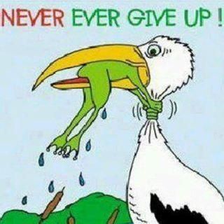 Ge Aldrig Upp, Meaningful Pictures, 웃긴 사진, E Card, A Cartoon, Don't Give Up, Reality Quotes, The Words, Good Morning Quotes