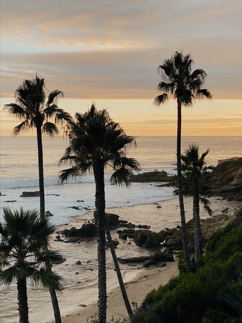 Laguna Beach, Ca Laguna Beach California Photography, Laguna Beach California, Beautiful Pics, California Photography, Beach California, Blue Lagoon, Laguna Beach, Beautiful Pictures, California