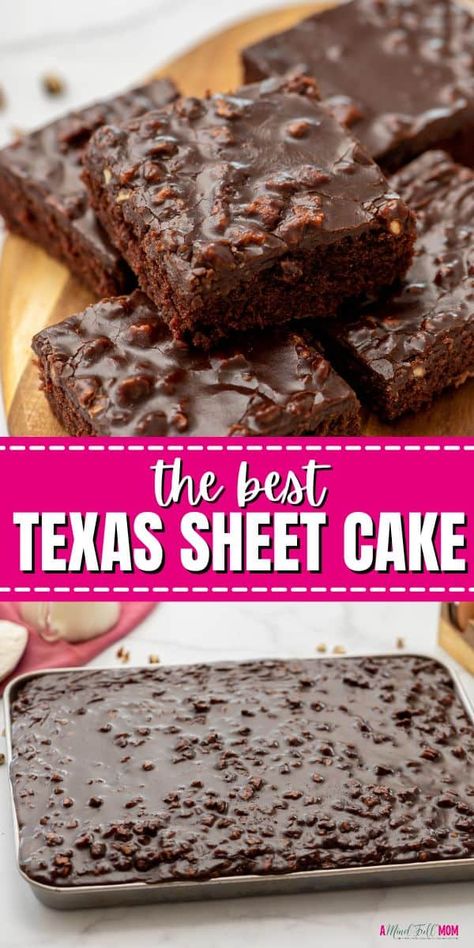 Featuring a moist chocolate sheet cake topped with a rich, fudgy frosting, this Texas Sheet Cake recipe is perfect for a crowd! Chocolate Sheet Cake Recipe, Texas Sheet Cake Recipe, Texas Sheet, Texas Sheet Cake, Chocolate Sheet Cake, Sheet Cake Recipes, Tasty Chocolate Cake, Cake Recipes From Scratch, Oreo Dessert