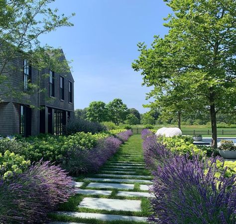 Ed Hollander on Instagram: "Fabulous collaboration with @tomkligerman and @haynesrobertsinc #landscape #landscapedesign #gardens #gardensofinstagram #design #designleadershipnetwork #architecture #archi #archidaily #designers #landscape_lovers #weekend #house #houseandgarden #summer #summervibes #hydrangea #lavender #flowers #flowersofinstagram #fragrance #style #styleinspo #luxehamptons #luxe #enjoyeverymoment #home #homedesign #homedecor #ad100" Path To Pool, Lavender And Hydrangea, Hollander Design, Stepping Stone Path, Hydrangea Landscaping, Stepping Stone Paths, Weekend House, Stone Path, Board Member