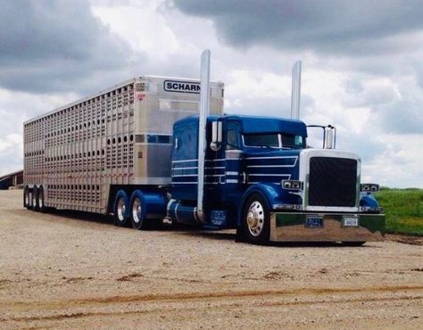 bull hauler truck Livestock Hauler, Bull Hauler, Hauler Truck, Pbr Bull Riding, Cattle Trucks, Livestock Trailers, Customised Trucks, Dream Trucks, Heavy Construction Equipment