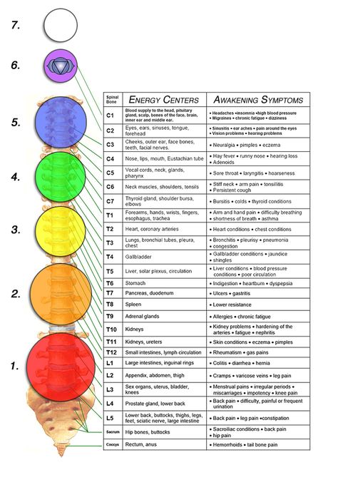 Chart depicting nervous system in relation to our Chakras, including physical symptoms that may be felt as spiritual awakening, our Chakras, and psychodynamic therapy, assist us during the healing process - sometimes known as "healing crisis" due to symptoms. Psychodynamic Therapy, Spiritual Awakening Stages, Body Dr, Body Chakras, Chakra Chart, Energy Psychology, Spiritual Ascension, Facial Nerve, Hearing Problems