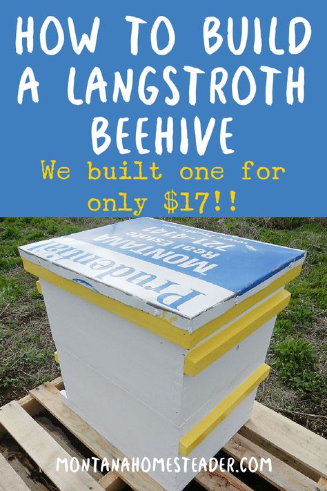 How to Build a 10 Frame Langstroth Bee Hive for Cheap Langstroth Hive Plans, Diy Bee Hive, Honey Bee Facts, Bee Hives Diy, Langstroth Hive, Diy Bee, Bee Hive Plans, Frames Diy, Woodworking Plans Pdf