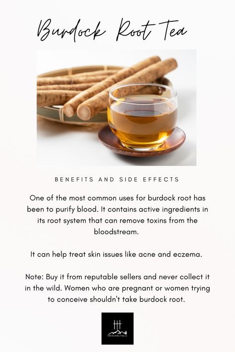 Burdock Root, Herbal Tea Burdock Root Tea Benefits, Burdock Plant, Burdock Root Benefits, Apothecary Garden, Burdock Root Tea, Tea Mixes, Tea Corner, Chinese Herbal Medicine, Natural Alternatives