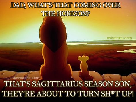 SAGITTARIUS SEASON MEMES - Top 15+ Memes for Sagittarius Season Saggitarius Season, Zodiac Sagittarius Facts, Sagittarius Season, Season Quotes, Benton Harbor, Lake Elsinore, Moreno Valley, Power Colors, Sagittarius Facts