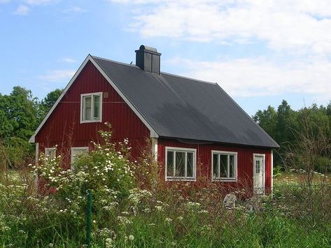 Our barn is prominent in the view out of the picture windows, and while it didn't look bad, it was lacking in the barn appeal department.  And really, what other color do you paint a barn besides red? One of the reason's we bought our house and property is because it had a barn. I wish I could take you through our thought process on this one, because we didn't have livestock and we weren't planning on getting any, either. It was more like - "How awesome would it be to have a barn?!"… Barn Red Paint Color, Red Paint Colors, Sherwin Williams Paint Colors, Picture Windows, Red Barns, Red Barn, Red Paint, The Barn, Sun Dried Tomato