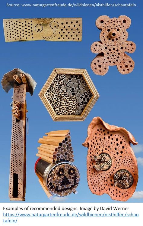 Insect Hotels: A Refuge or a Fad? | The Entomologist Lounge Bee Hotel Design, Bee Hotels, Bee Poster, Ladybug House, Bee Fly, Bee Houses, Wild Bees, Bee Hotel, Bug Hotel