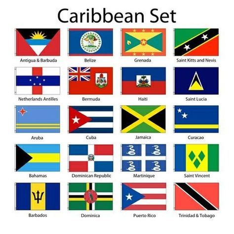 Suriname Flag, Flags Of European Countries, Planet Map, Caribbean Flags, Haiti Flag, Countries And Flags, Saint Kitts And Nevis, Genius Quotes, Caribbean Travel