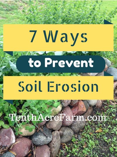 7 Ways to Prevent Soil Erosion from TenthAcreFarm Landscaping Stairs, Steep Hillside Landscaping, Landscaping A Slope, Soil Erosion, Compost Soil, Sloped Yard, Hillside Landscaping, Permaculture Gardening, Sloped Garden