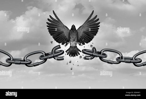 Download this stock image: Freedom metaphor as a symbol of liberty and as a concept of chains breaking as bird wings breaking free with 3D illustration elements. - 2E04HE1 from Alamy's library of millions of high resolution stock photos, illustrations and vectors. Freedom Images, Freedom Drawing, Small Wave Tattoo, Freedom Bird, Freedom Tattoos, Chain Tattoo, Freedom Art, Symbol Of Freedom, What Is A Bird