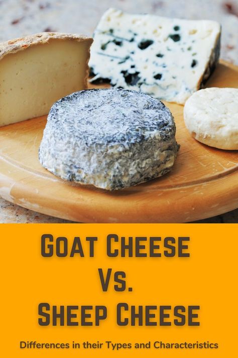 We'll be delving into differences between goat cheese and sheep cheese in terms of nutritional values, properties (smell, taste, appearance, etc.), and use cases. We'll also be showcasing the different types of goat and sheep cheese available in the dairy market, as well as recipes made using them. Read here... Types Of Goats, Cheese Making Recipes, Sheep Cheese, Milk And Cheese, Types Of Cheese, Dairy Farms, Milk Recipes, How To Make Cheese, Goat Cheese