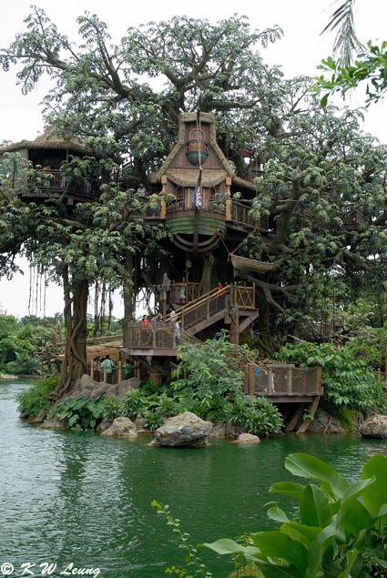 Tarzan's Treehouse at Disneyland Hong Kong | Photo by Kai-Wing Leung Swiss Family Robinson Treehouse, The Swiss Family Robinson, Nature Drawings, Beautiful Tree Houses, Casa Hobbit, Swiss Family Robinson, Building A Treehouse, Tree House Diy, Cool Tree Houses